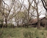 ritesspring (3)